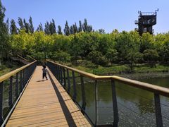-东郊湿地公园