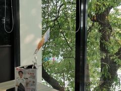 -必胜客(上海新南方商城PH店)