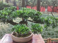 -成都武侯祠博物馆