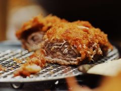 -胜博殿日式炸猪排(西红门店)