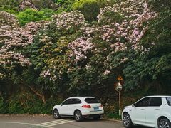 -梧桐山风景名胜区