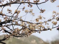 -碓臼峪自然风景区