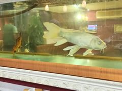 -晚归月亮湾私家菜(临邑路店)