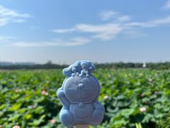 -荷塘月色湿地公园·向阳花洲