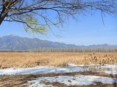 -野鸭湖国家湿地公园