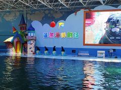 -蓬莱欧乐堡海洋极地世界
