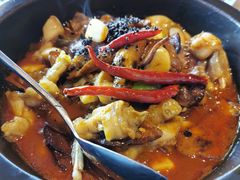 黑松露牛肝菌焖牛蛙-云海肴·汽锅鸡·云南菜(天山百盛优客店)