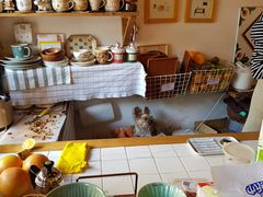-春风十里咖啡馆