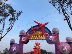 -空港花田景区