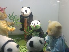 -成都泰迪熊博物馆