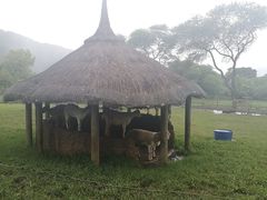 -卡塞拉自然公园