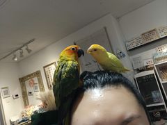 -大悦城(沈阳中街店)