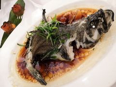 -稻香酒家·33年老字号·港式粤菜(富邦中心店)