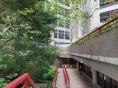 -香港大学