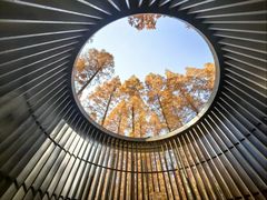 -黄海国家森林公园