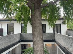 -自如ZSPACE四合院艺术餐厅