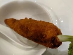 -丁老爷子苏香圆