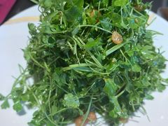 -No.DD戳子烧烤·江湖菜(北京总店)