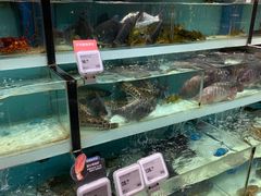 -盒马鲜生(顺义店)