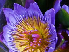 -AEON永旺(东方宝泰店)