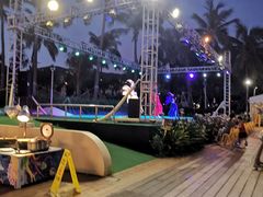 -渔家火锅·海鲜自助餐·演艺(亚龙湾天域酒店)