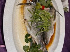 清蒸河鲩鱼-惠食佳·朱雀(东方商厦店)