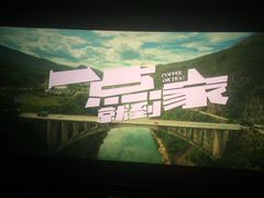 -博纳国际影城(南联IMAX店)