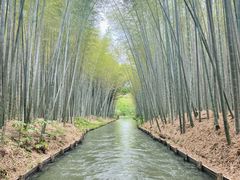 -同里国家湿地公园