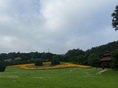 -棒棰岛宾馆景区