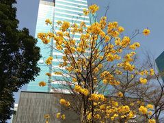 -天河体育中心