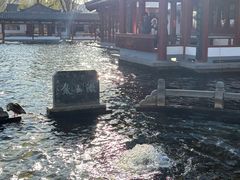 -百脉泉景区