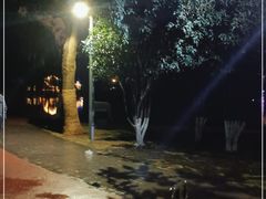 -老乡鸡(上派人民东路店)