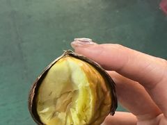 -西归浦每天偶来市场
