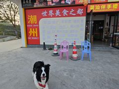 -官塘兄弟·潮汕牛肉店(官塘总店)