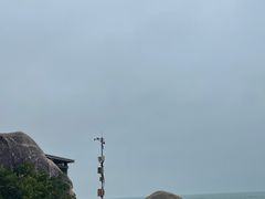 -广东惠东海龟国家级自然保护区