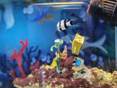 -太平洋海底世界