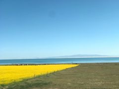 -青海湖国家重点风景名胜区