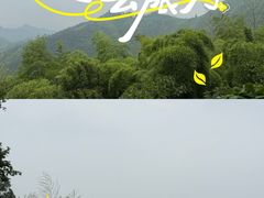 -莫干山风景区