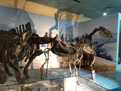 -大连自然博物馆·地球展厅