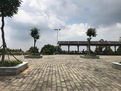 -广州市帽峰山景区
