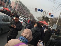 -蒲河大集