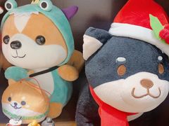 -逗柴咖啡屋·狗咖猫咖宠物桌游