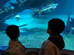 -华夏文旅海洋公园