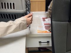 -瑞派宠物医院·24h·骨外科·皮肤科·全科宠物医疗转诊中心(沈阳浑南院)