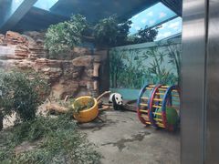 -石家庄市动物园