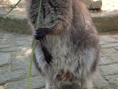 -武汉紫薇都市田园