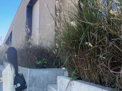 -来回·咖啡(钟村咖啡豆店)
