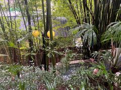 -花水湾第一村温泉大酒店