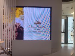 -BELLAREAL新美社