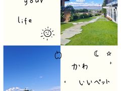 -云禾壹海景庄园餐厅